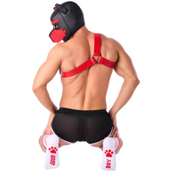 Kinky Puppy Socks Chaussettes Good Boy Blanc-Rouge